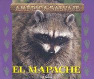 El Mapache - Jacobs, Lee
