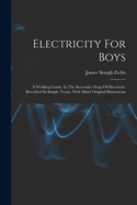 Electricity for Boys: A Working Guide, in the Successive Steps of Electricity, Described in Simple Terms, with Many Original Illustrations
