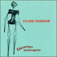 Electrique Plummagram - Poi Dog Pondering