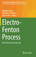 Electro-Fenton Process: New Trends and Scale-Up
