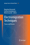 Electromigration Techniques: Theory and Practice