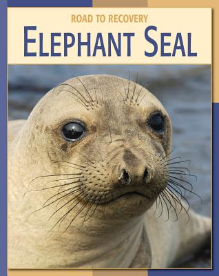 Elephant Seal - Gray, Susan H, and Boeuf, Burney Le (Consultant editor)