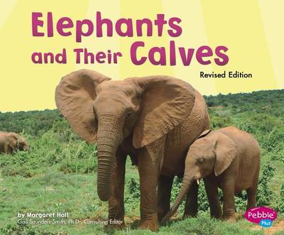 Elephants and Their Calves - Hall, Margaret
