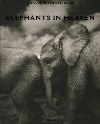Elephants in Heaven - Schmeisser, Joachim