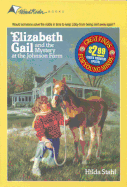 Elizabeth Gail and the Mystery at the Johnson Farm