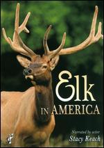 Elk in America