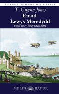 Enaid Lewys Meredydd: Stori am y Flwyddyn 2002