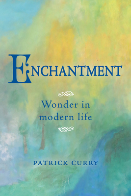 Enchantment: Wonder in Modern Life - Curry, Patrick