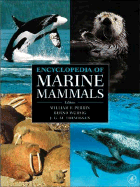 Encyclopedia of Marine Mammals - Wrsig, Bernd (Editor), and Perrin, William F (Editor), and Thewissen, J G M (Editor)