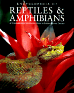 Encyclopedia of Reptiles and Amphibians - Cogger, Harold C (Editor), and Zweifel, Richard G (Editor)