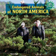 Endangered Animals of North America