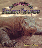 Endangered Komodo Dragons