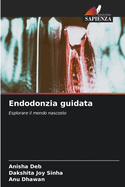 Endodonzia guidata