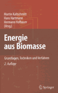 Energie Aus Biomasse: Grundlagen, Techniken Und Verfahren