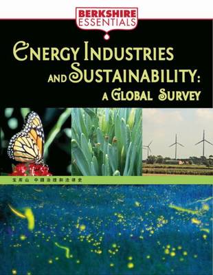Energy Industries and Sustainability - Anderson, Ray C. (Editor)