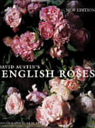 English Roses