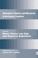 Enterprise Clusters and Networks in Developing Countries