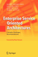 Enterprise Service Oriented Architectures