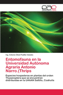 Entomofauna en la Universidad Autnoma Agraria Antonio Narro.(Thrips