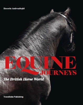 Equine Journeys: The British Horse World - Amirsadeghi, Hossein