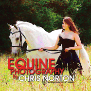 Equine Photography