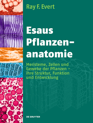 Esaus Pflanzenanatomie - Evert, Ray F, and Langenfeld-Heyser, Rosemarie (Editor), and Eichhorn, Susan E (Contributions by)