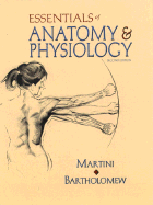 Essentials of Anatomy and Physiology - Martini, Frederic H, PH.D.