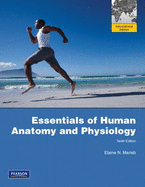 Essentials of Human Anatomy and Physiology with Essentials of Interactive Physiology CD-ROM: International Edition