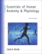 Essentials of Human Anatomy & Physiology - Marieb, Elaine Nicpon