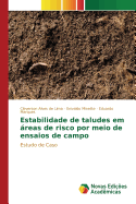 Estabilidade de Taludes Em Areas de Risco Por Meio de Ensaios de Campo