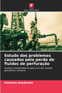 Estudo dos problemas causados pela perda de fluidos de perfura??o