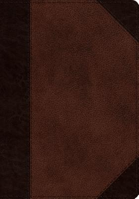 ESV Journaling Psalter (Trutone, Brown/Walnut, Portfolio Design) - 
