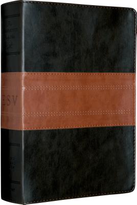 ESV MacArthur Study Bible - MacArthur, John (Commentaries by)