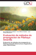 Evaluacion de Metodos de Propagacion de Pitahaya Amarilla