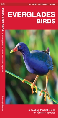 Everglades Birds: An Introduction to Familiar Species - Kavanagh, James