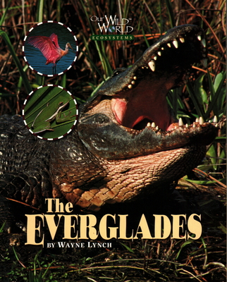 Everglades - Lynch, Wayne, Dr.