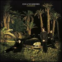 Evergreen - Echo & the Bunnymen