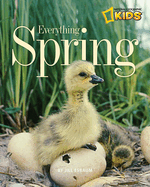 Everything Spring