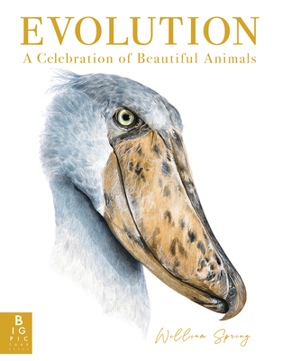 Evolution: A Celebration of Beautiful Animals - 