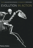 Evolution in Action: Natural History through Spectacular Skeletons