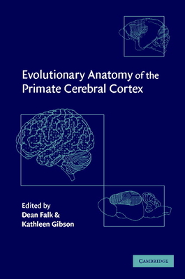 Evolutionary Anatomy of the Primate Cerebral Cortex - Falk, Dean, Professor (Editor), and Gibson, Kathleen (Editor), and Gould, Stephen Jay (Prologue by)