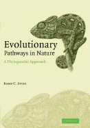 Evolutionary Pathways in Nature: A Phylogenetic Approach