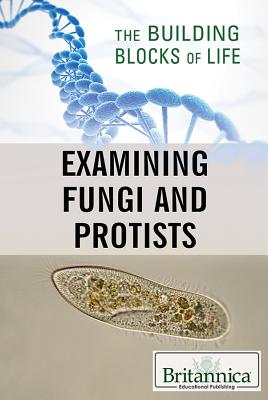Examining Fungi and Protists - Eaton, Louise (Editor), and Rogers, Kara (Editor)