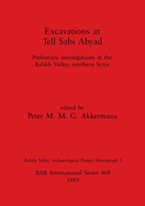 Excavations at Tell Sabi Abyad: Prehistoric investigations in the Balikh Valley, northern Syria