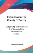 Excursions In The County Of Surrey: Comprising Brief Historical And Topographical Delineations (1821)