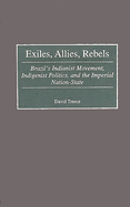 Exiles, Allies, Rebels: Brazil's Indianist Movement, Indigenist Politics, and the Imperial Nation-State