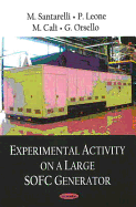 Experimental Activity on a Large Sofc Generator