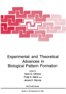 Experimental and Theoretical Advances in Biological Pattern Formation