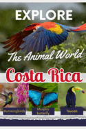 Explore the Animal World of Costa Rica
