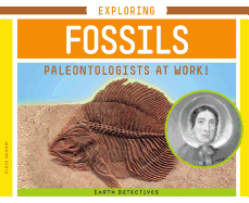 Exploring Fossils: Paleontologists at Work!